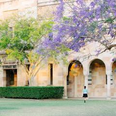 UQ Great Court, jacarandas; Image courtesy of University image bank