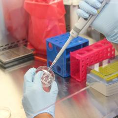 lab work, hood, petrie dish, pipette; Image via Pixabay, CC0 Public Domain